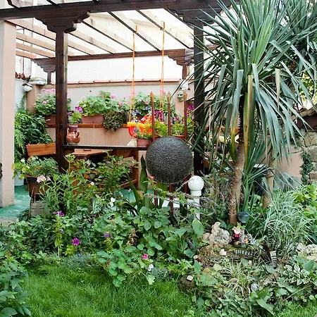 Gasthuis Dom Mladenovi 3*